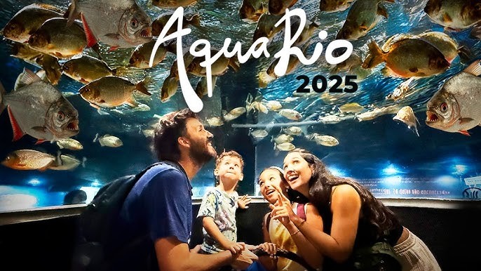 Aquário do Rio: Aventura no Mundo Marinho da Americana do Sul